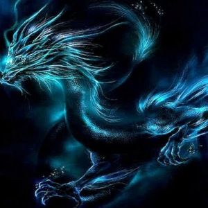 Meet your Posher, Bryce